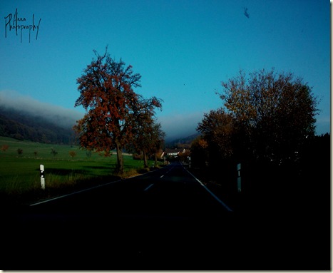 2011-11-06 15.14.27