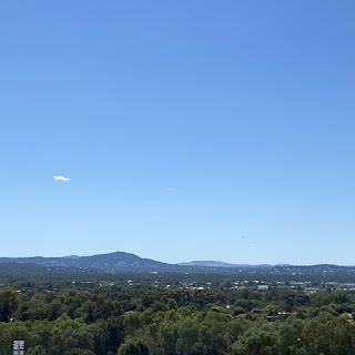 View looking over the treetops and rooftops of our part of town toward the distant blue-tinged hills.