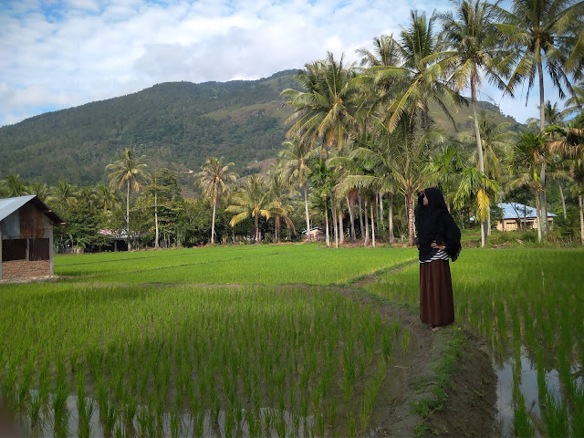 solok Sumatera Barat