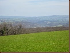 11-picniq_5117