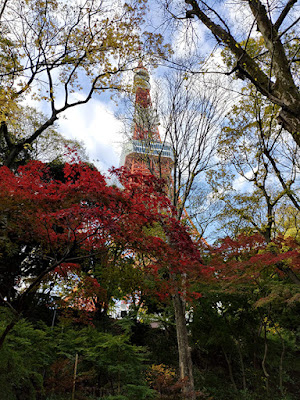 東京タワー 紅葉