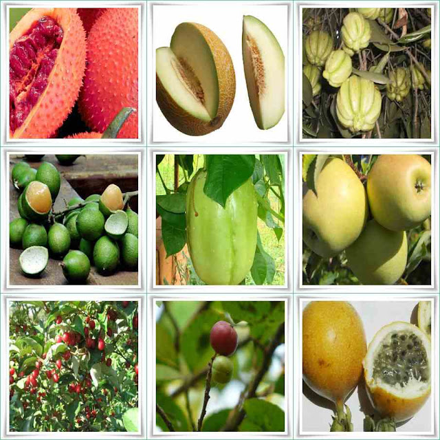 Fruit Names That Start With G