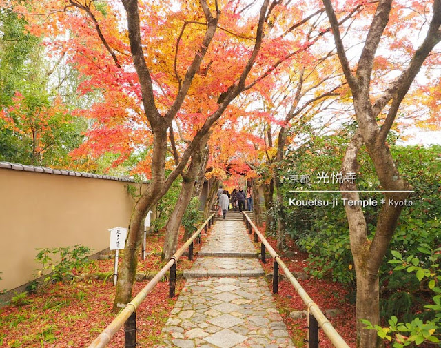 [京都] 光悦寺：参道の紅葉
