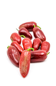 Red jalapeno chili harvest