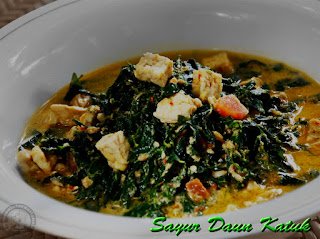 Resep Cara Membuat Sayur Daun Katuk Masak Santan