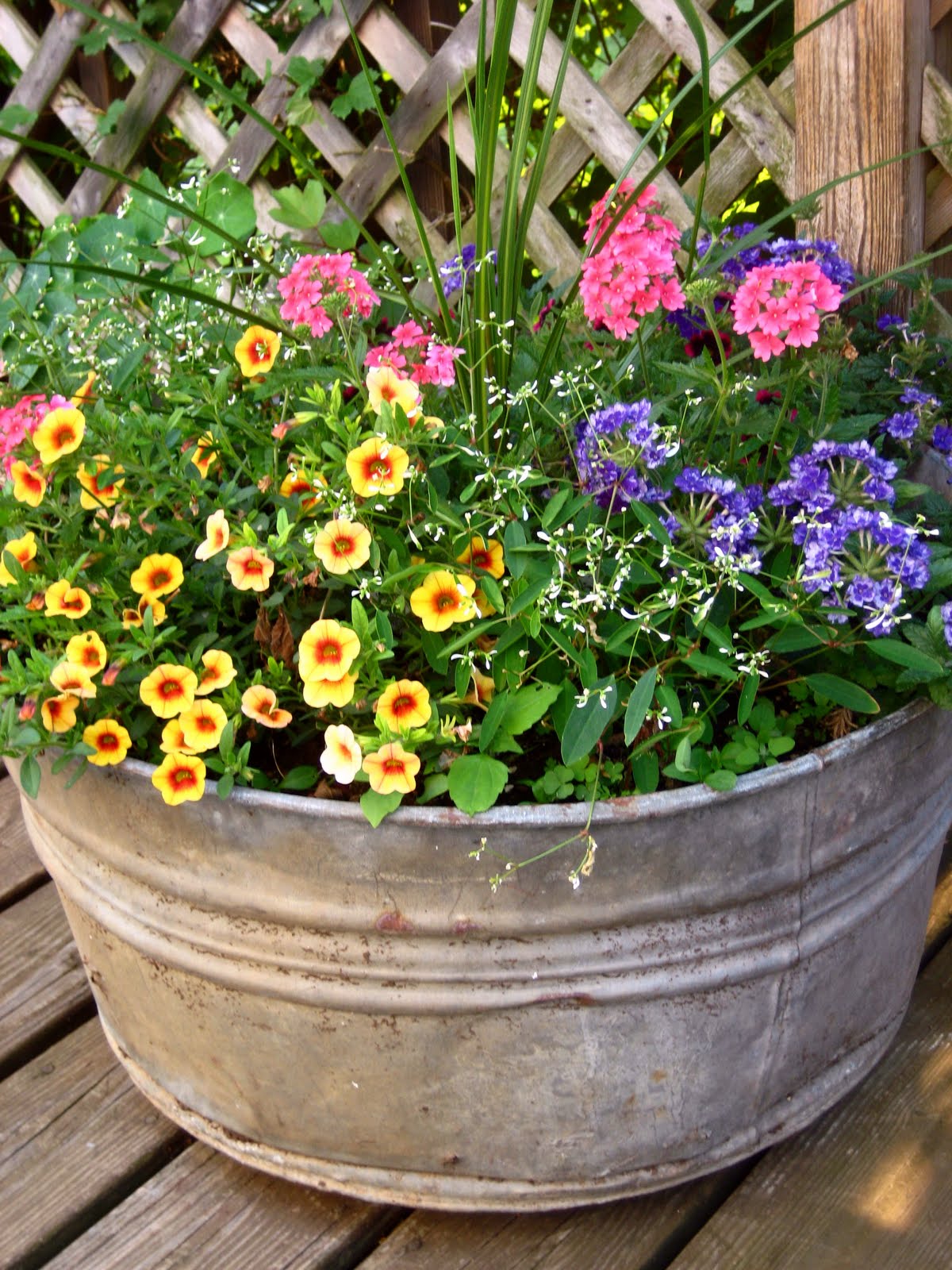 flower pot ideas photos Flower Pot Ideas for Full Sun Container | 1200 x 1600