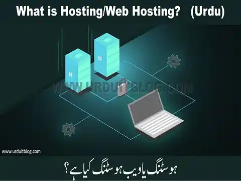 ?What is Hosting/Web Hosting