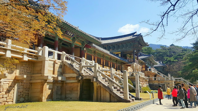 spring gyeongju trip