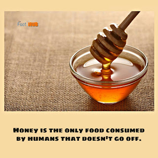 Honey is the only food consumed by humans that doesn’t go off.