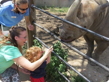 Feeding the Rhino at Cheyenne Mountain Zoo