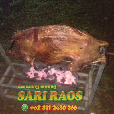 Jual Kambing Guling Sekitar Bandung 08112480366, Jual Kambing Guling Sekitar Bandung, Jual Kambing Guling, kambing guling bandung, kambing guling,