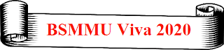 BSMMU VIVA Experience