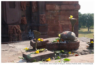 Shiva shrines, Shiva temple, Bhojpur, Madhya Pradesh, India - Images by Sunil Deepak