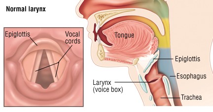 How to never lose your voice? 12 Remedies for Teachers