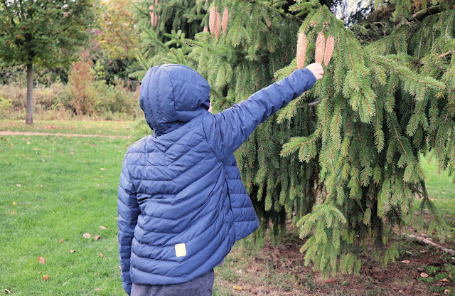 Boy picking pine cones in Reima Falk Winter Jacket