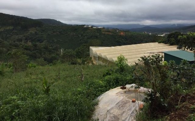 Bán 6216m2 đất Cầu Đất TP Đà Lạt View Đẹp giá 1.5 tỷ