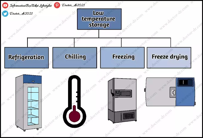 Low-Temperature Treatment as a Method of Food Preservation