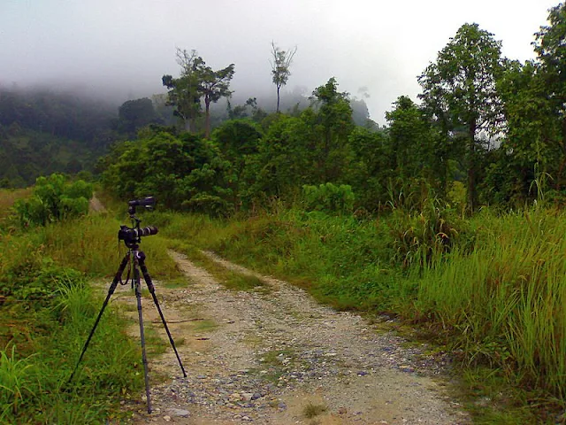 Birding at Golf Course