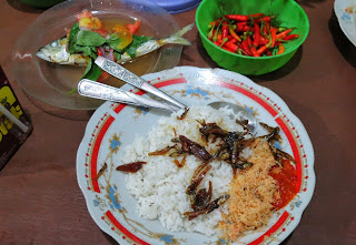 Sarapan dan Kudapan Khas Ambon Nasi Kelapa