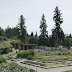 Tree Walk at UBC Botanical Garden - Vancouver