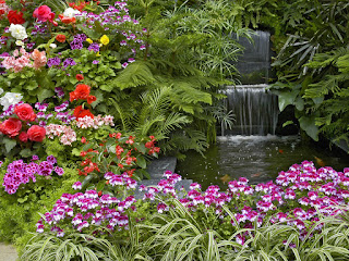 Natura primavera La scorribanda legale