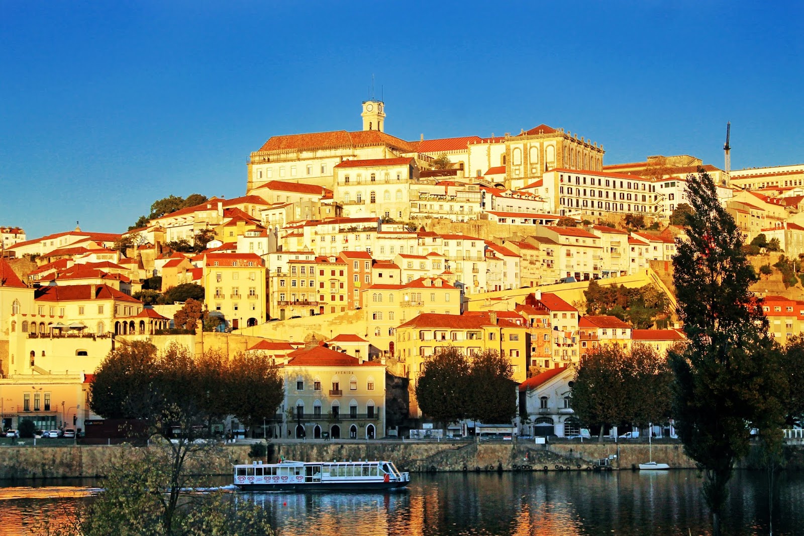 Guia de visita de Coimbra: 15 coisas a fazer na Cidade dos Estudantes