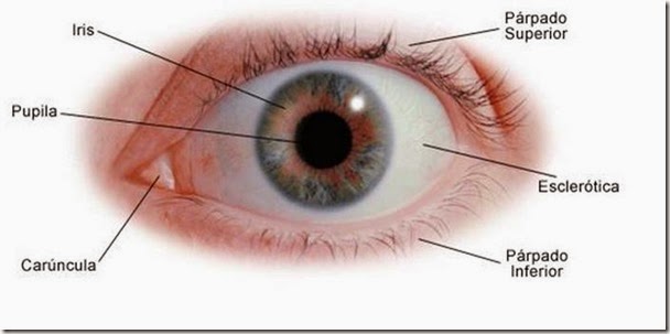 ojo01