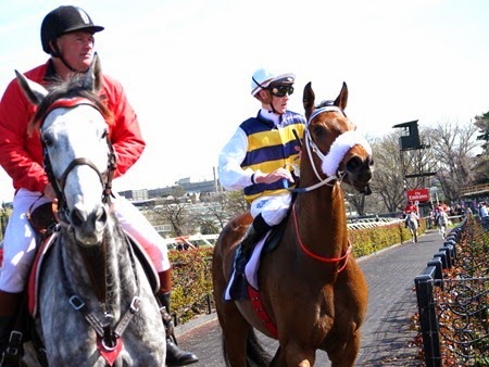 race 3_brambles