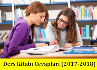 6. Sınıf Türkçe Sevgi Yayınları Ders Kitabı Cevapları