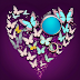 Love's Metamorphosis: From Butterflies to Butterflies with Rings