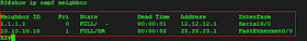 show ip ospf neighbor