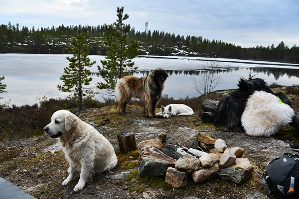 hengekøyetur nedre kollsjøen