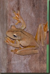 DSCF1303