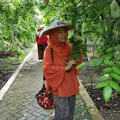 Foto seru di wisata blitar, desa wisata karangsari, agrowisata belimbing karangsari blitar, agrowisata karangsari blitar, karangsari blitar,tempat wisata di blitar, fish garden blitar, kebun blimbing, kebun belimbing tulungagung, blitar green park, harga bibit belimbing karangsari blitar