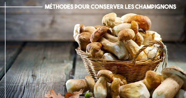 Méthodes pour conserver les champignons