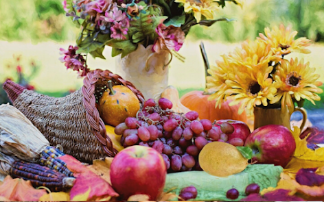 Harvest Bounty