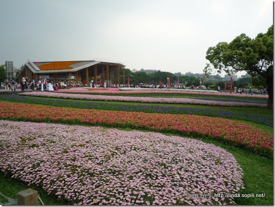 2010台北花博-林下花圃花海區