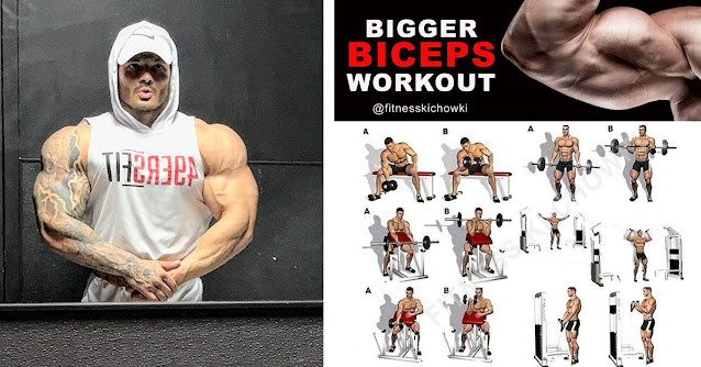 Top 10 Biceps Exercises for Mass and How to Do Them Correctly