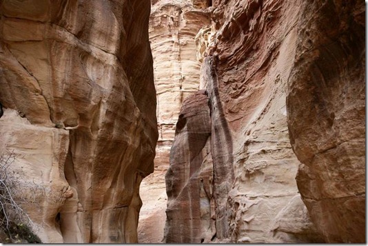 mirando hacia la parte alta del Siq