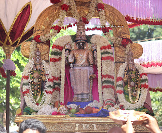 Sri Parthasarathy Perumal,Maanavala Maamunigal, Ippasi thirumulam,Satrumurai Venkata KRishnan,Purappadu, 2019, Video,Divya Prabhandam,Triplicane,Thiruvallikeni,Utsavam,