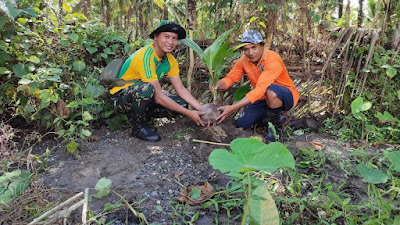 *Peduli Lingkungan, Satgas Yonarmed 1 Kostrad Ajak Masyarakat Lokki Tanam 100 Pohon*