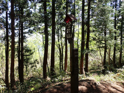 八乙女山登山 山頂