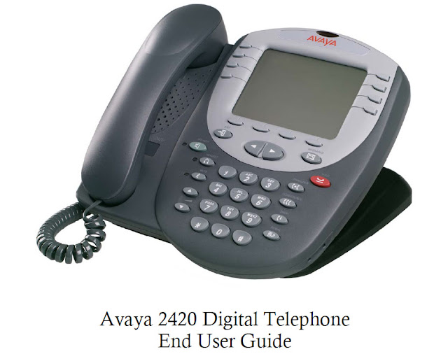 Avaya 2420 Manual