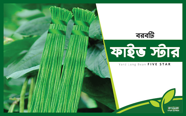 ফাইভ স্টার
