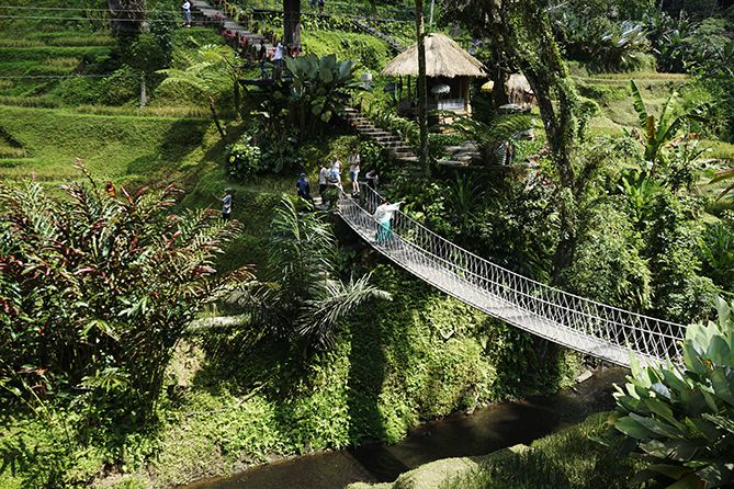 Melintasi jembatan gantung di Alas Harum Bali