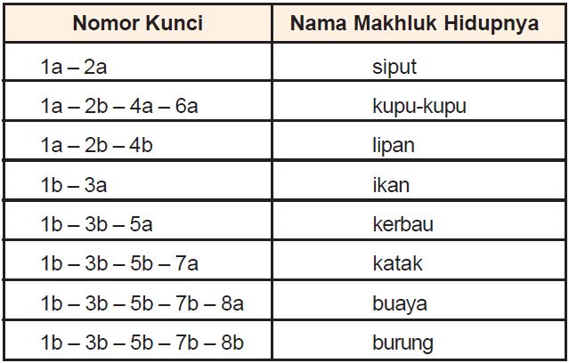 Pengertian dan Contoh Kunci Determinasi Dikotomi Hewan dan 