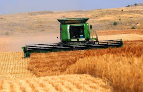 http://missoulian.com/news/state-and-regional/low-wheat-prices-stress-young-montana-farmers/article_b32a7d28-288c-11e4-b623-001a4bcf887a.html 