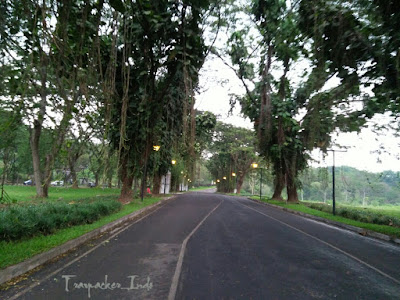 Rumah pohon taman dayu