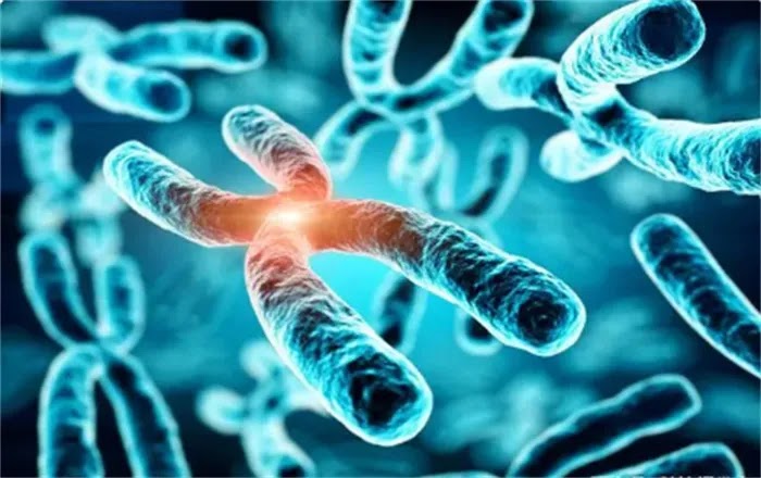 Telomeres: Unraveling the Secrets of Cellular Aging and Longevity
