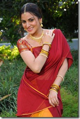 shraddha arya cute half saree